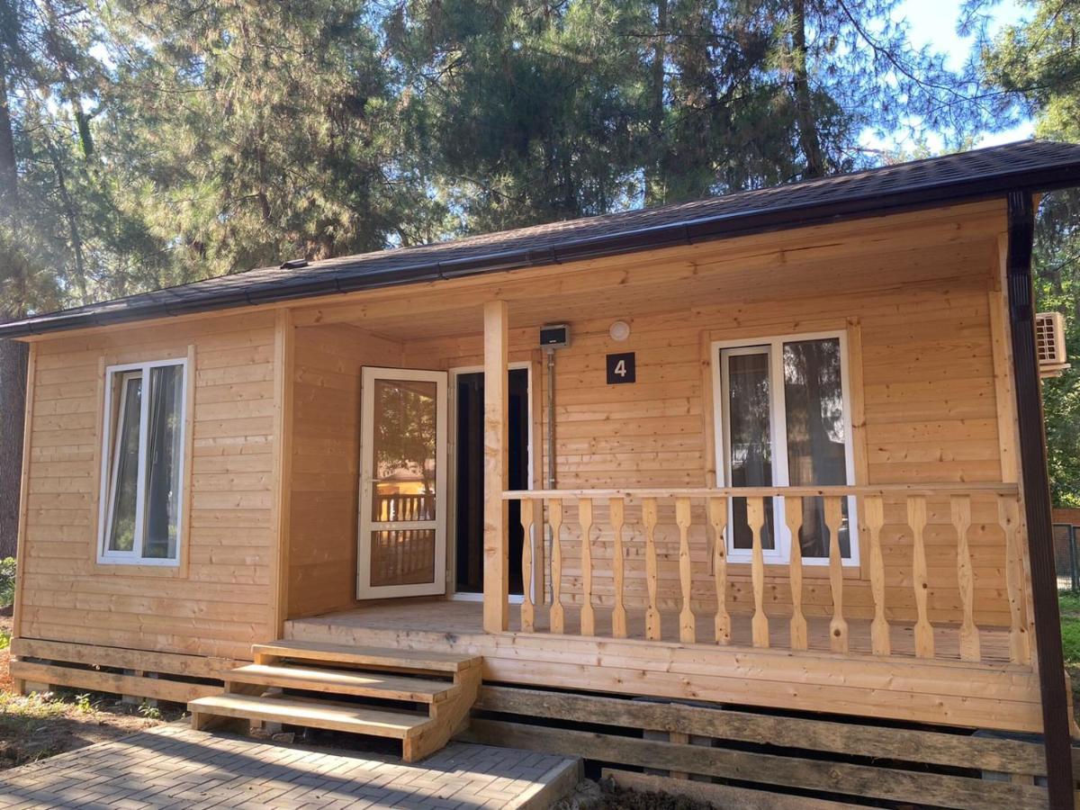 Золотые Пески Alakhadze Exterior foto