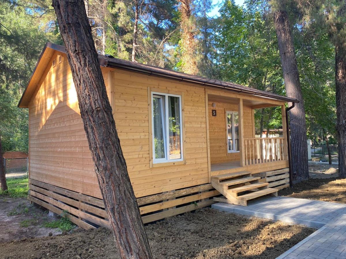 Золотые Пески Alakhadze Exterior foto